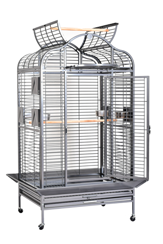 Parrot Cage