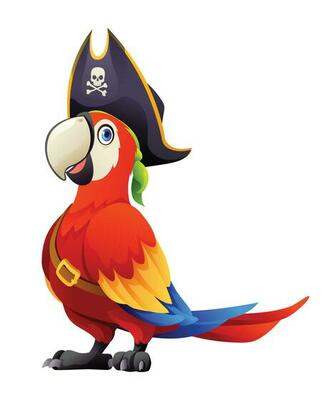 Pirate Parrot Adventure