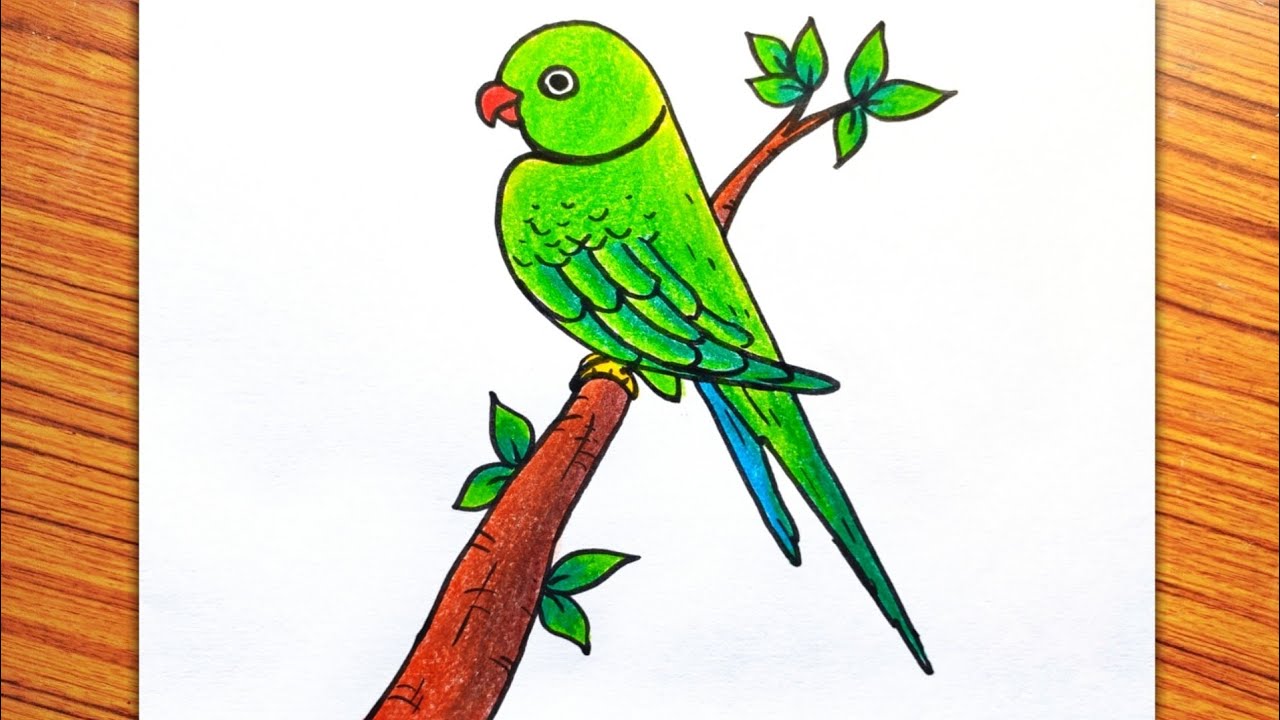 Colorful parrot drawing example